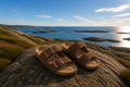 EaseStep Brown